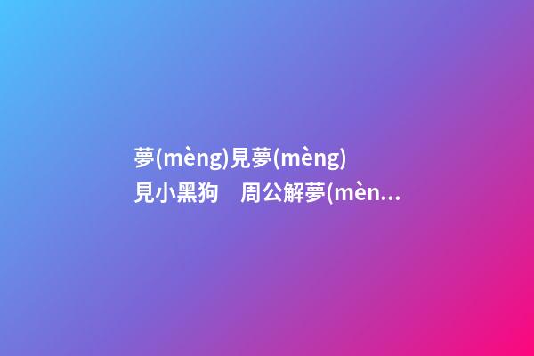 夢(mèng)見夢(mèng)見小黑狗　周公解夢(mèng)之夢(mèng)到夢(mèng)見小黑狗